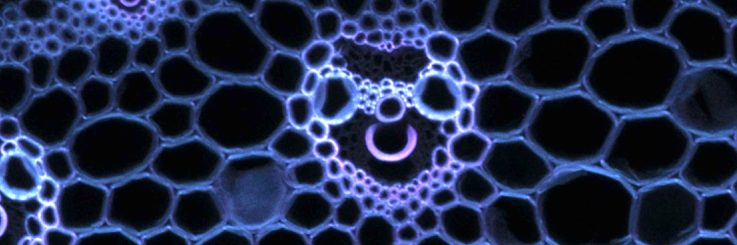 R🌳🌾🧪🧫🔬 banner