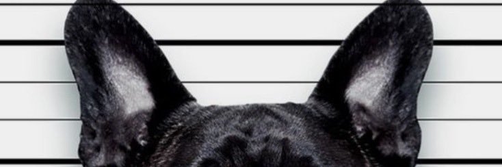 TheKingRy93's profile banner image