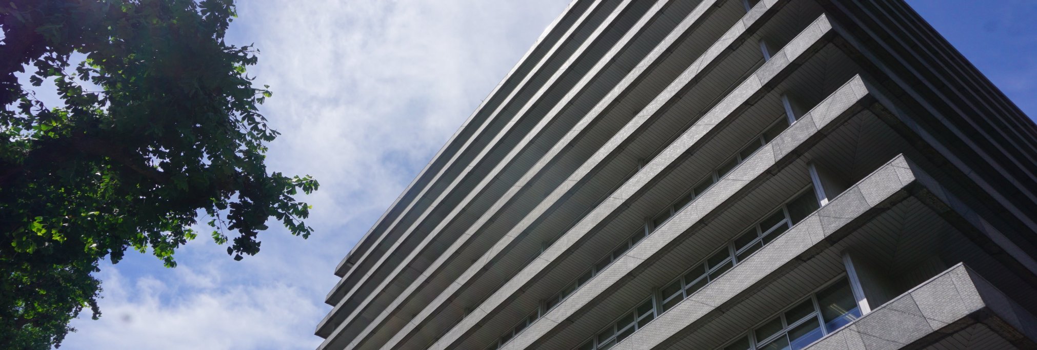 国土交通省's banner