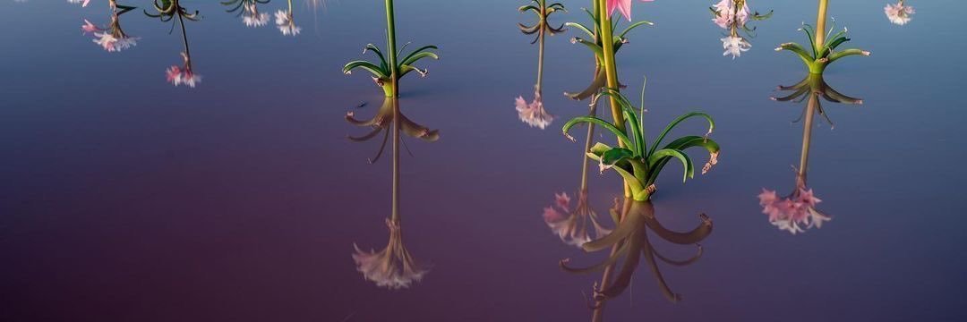 listen2fishmans's profile banner image