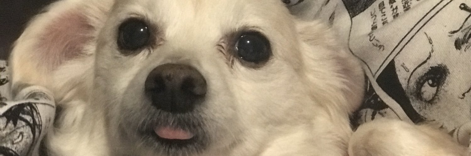 FunKindOfCRAZY's profile banner image