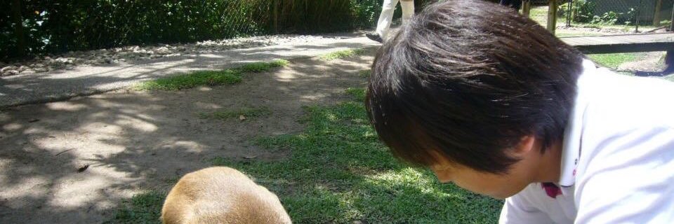 gakkun3's profile banner image