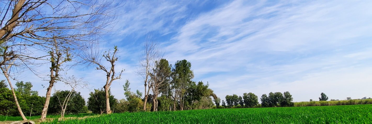 MeetiFti's profile banner image