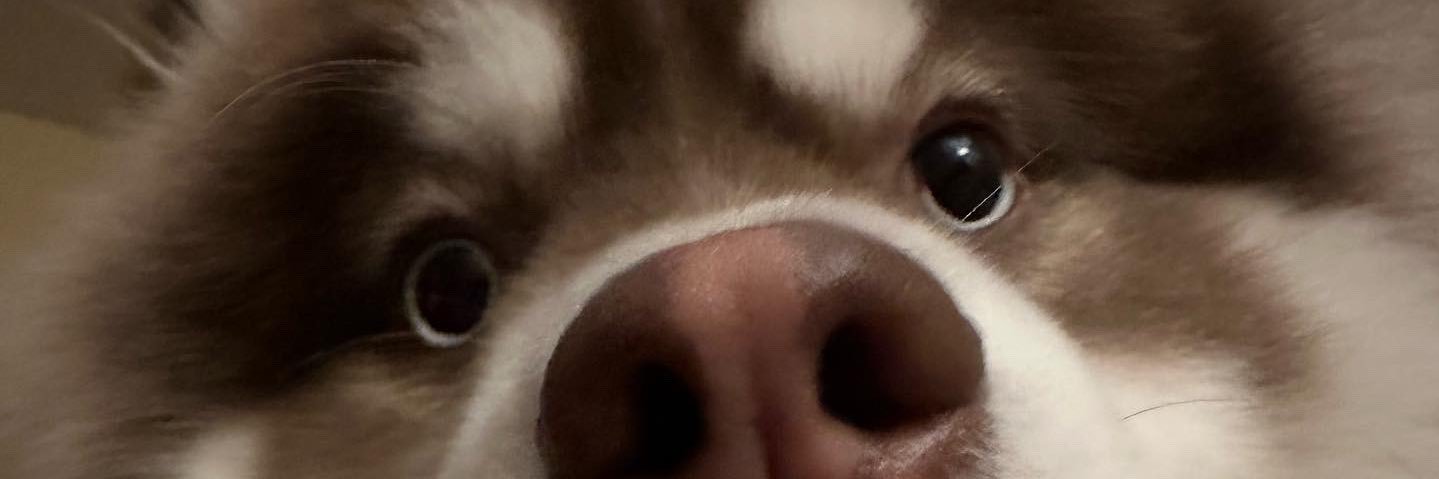 thommywin's profile banner image