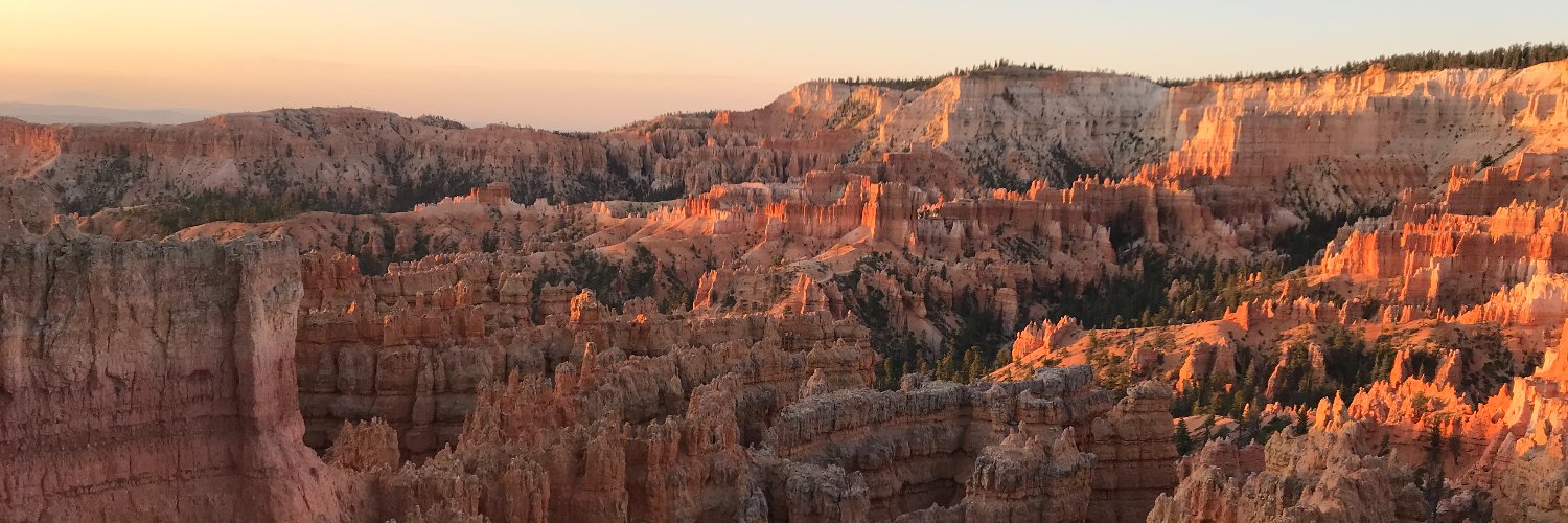 Talia Schaffer 🌻🇺🇦 banner