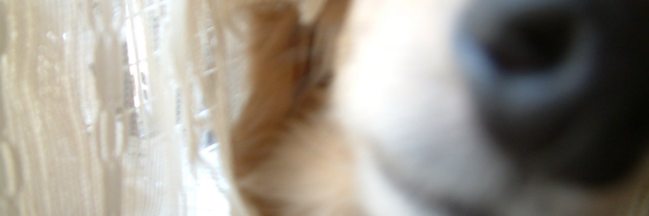 andi_B's profile banner image