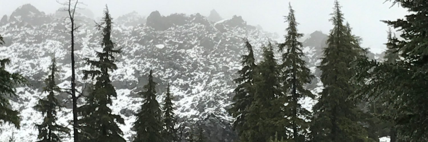 plizotte's profile banner image