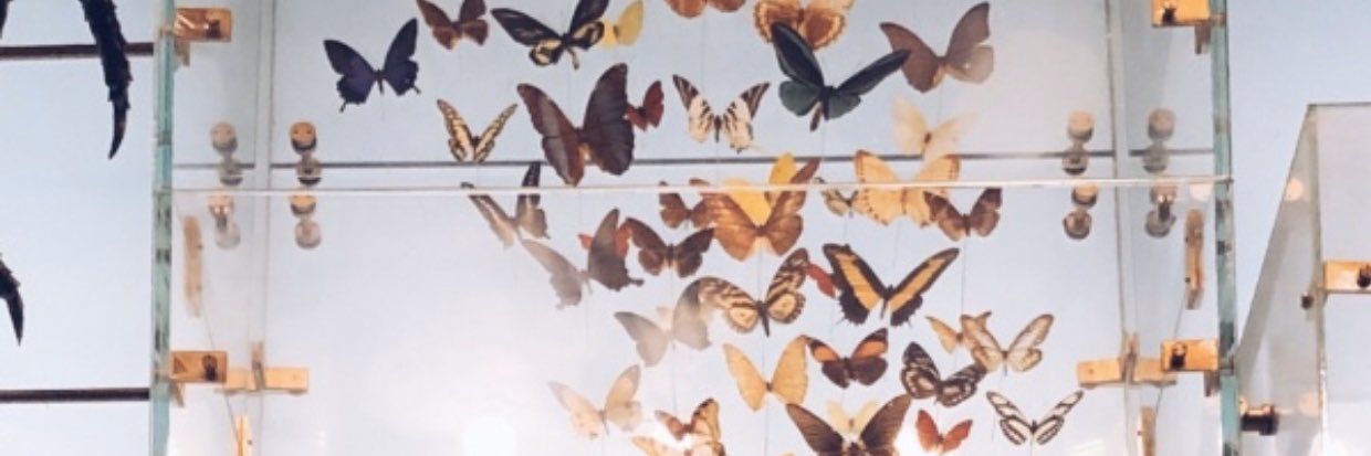 ryleefitz's profile banner image