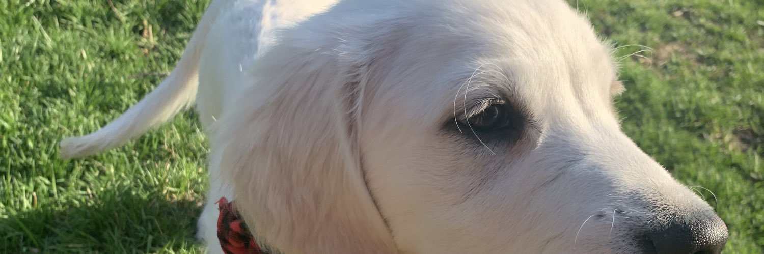 SierraClay's profile banner image