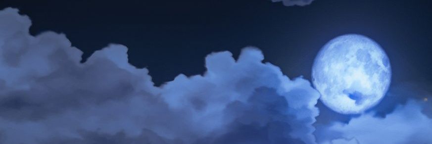 little blue flower banner