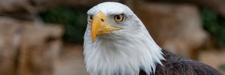 S80138's profile banner image