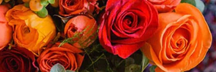 elisa223344's profile banner image