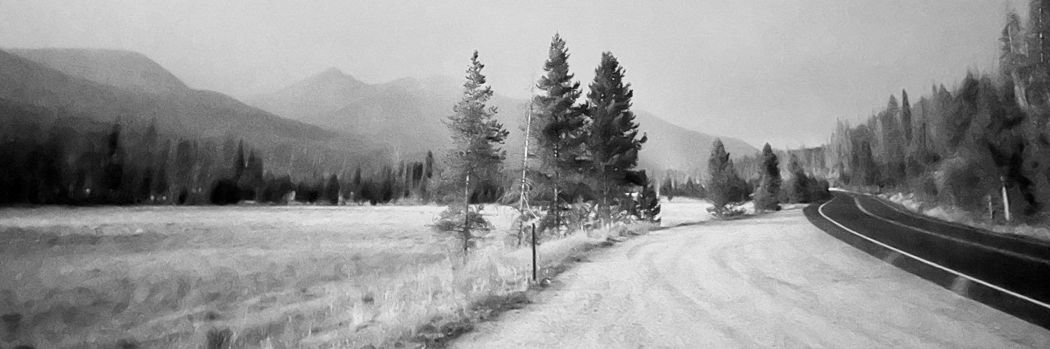 Brittni Smith banner