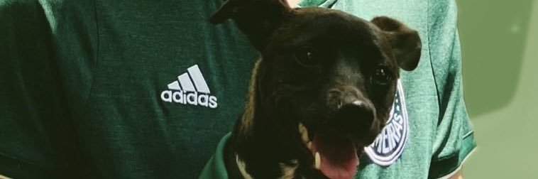 LucasDelOcho's profile banner image