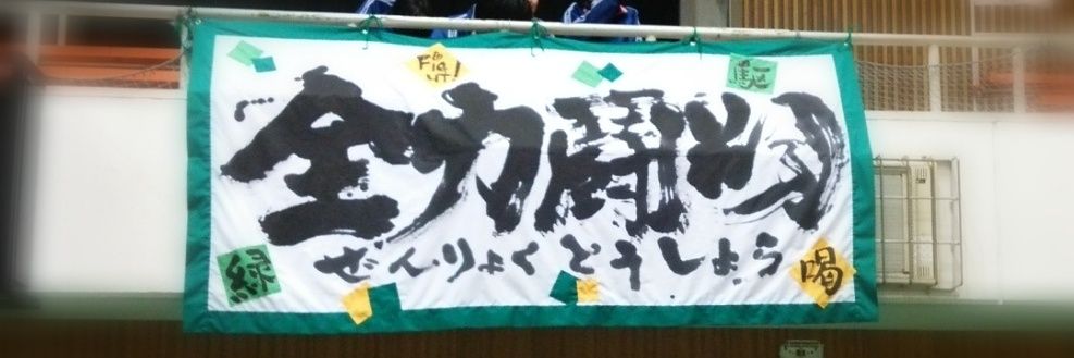 shi8081's profile banner image