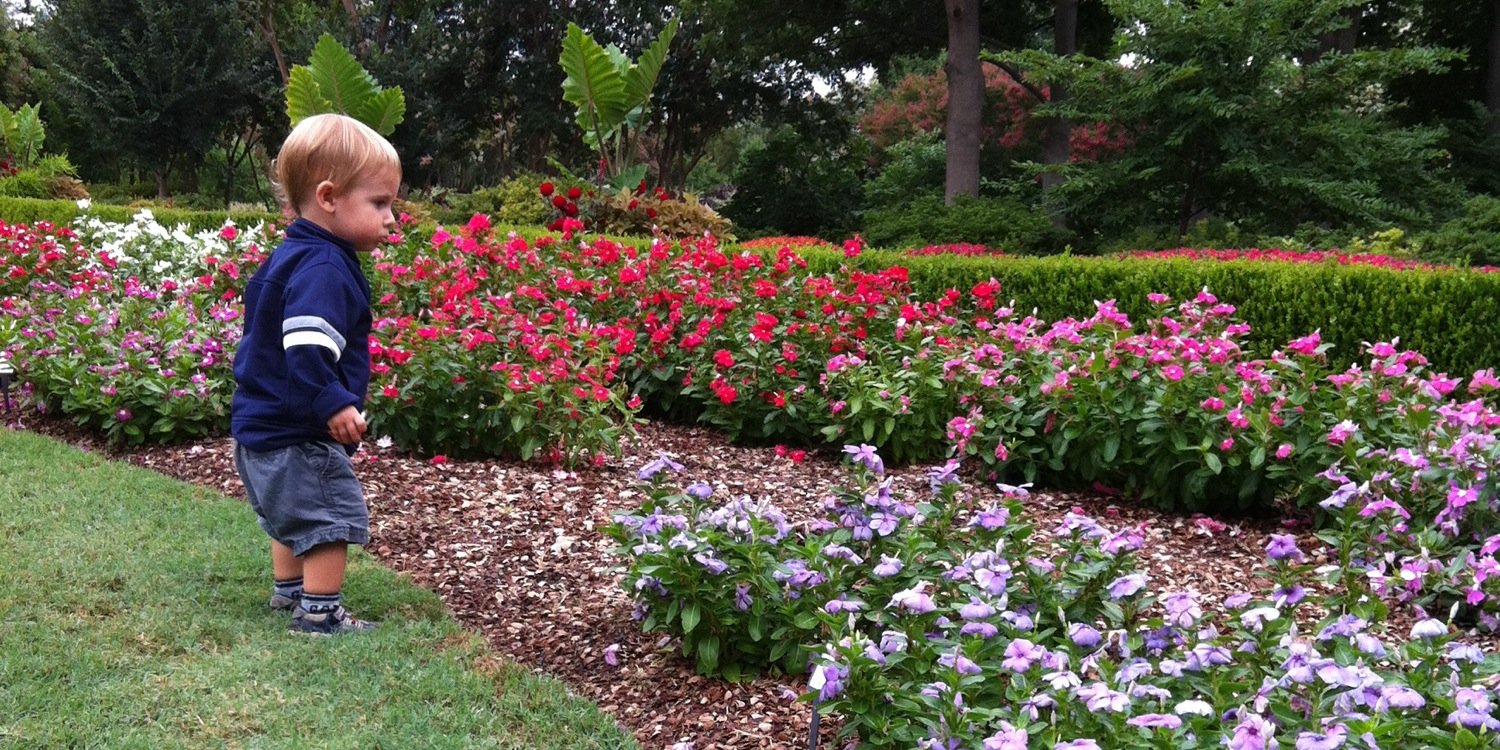 kelleysawyer's profile banner image