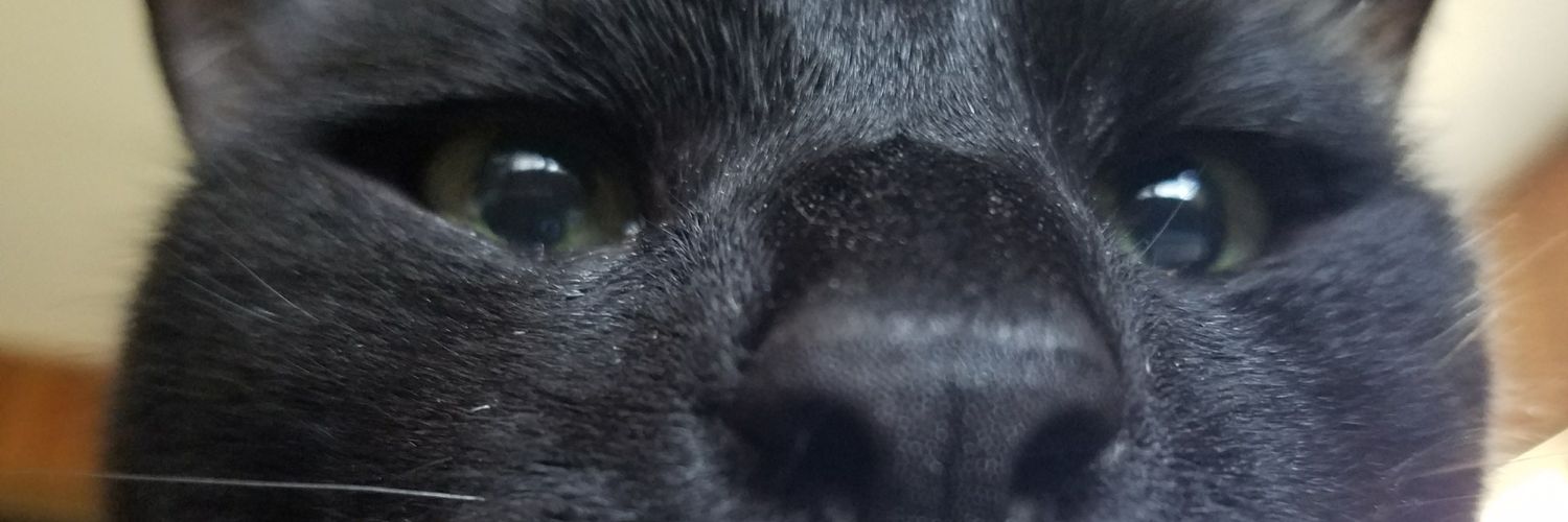 SgtMakisupa's profile banner image