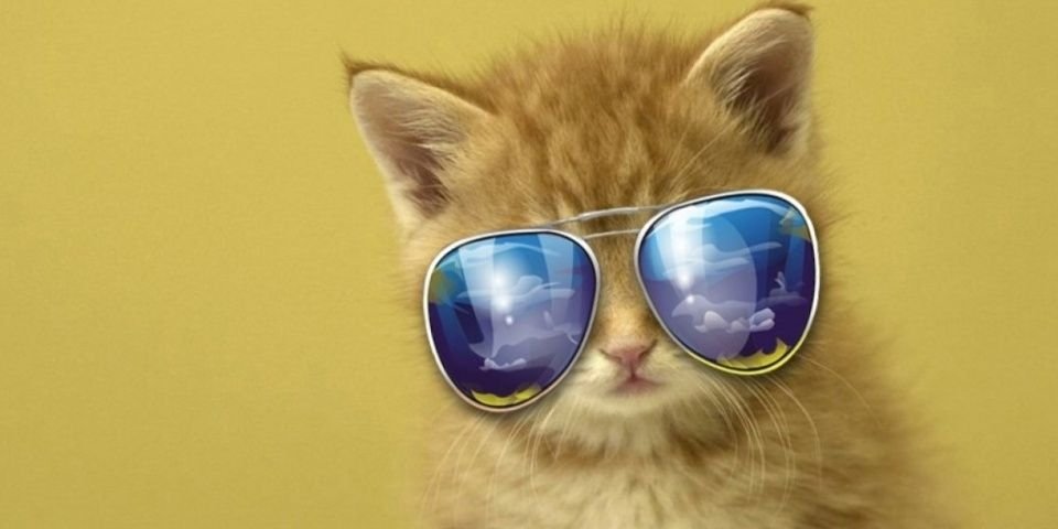demi290501's profile banner image