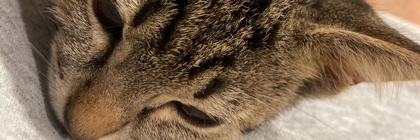 smdpvss's profile banner image