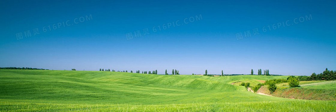 mitzieifa's profile banner image
