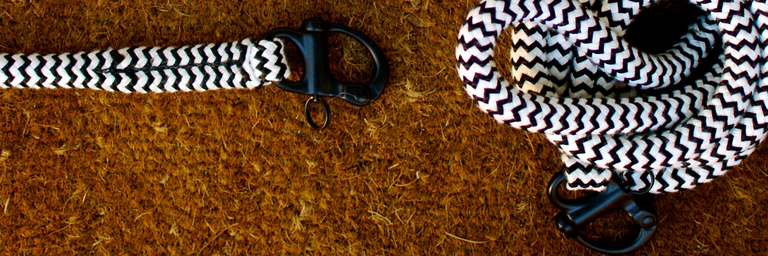 HtLeash's profile banner image