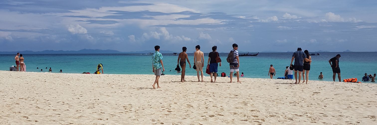 Monkey_J1's profile banner image