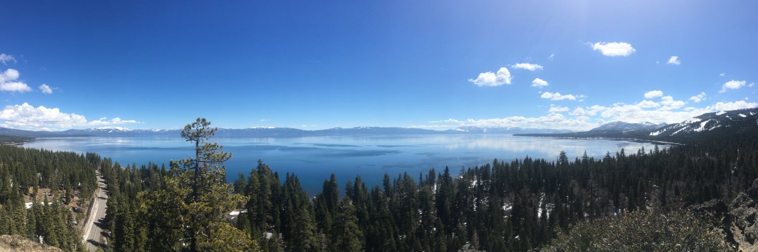 Chiara Packard banner