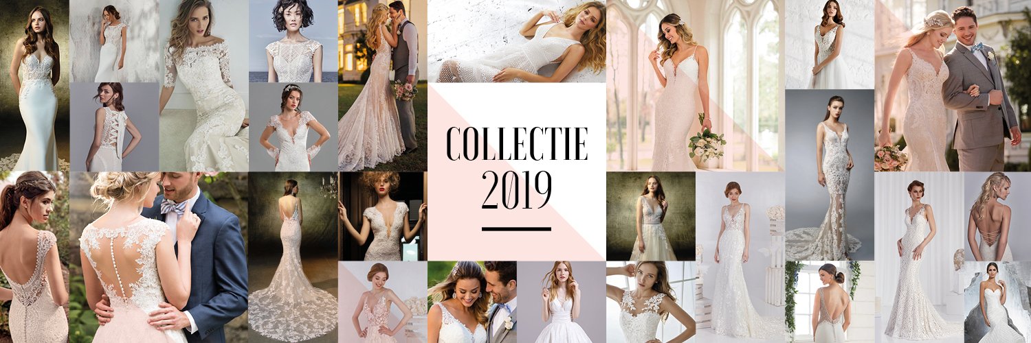 WeddingsNL's profile banner image