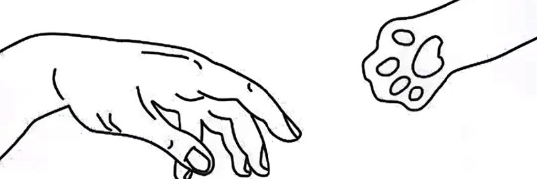 taeobroma's profile banner image