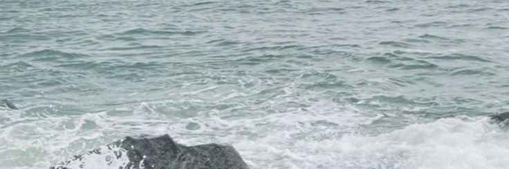 printalik's profile banner image