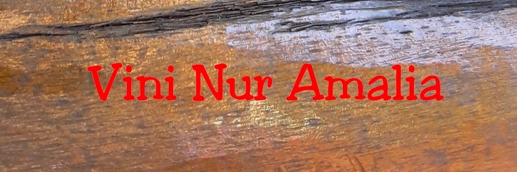 avininur's profile banner image