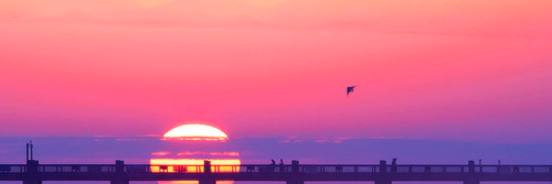 fcsdjc's profile banner image