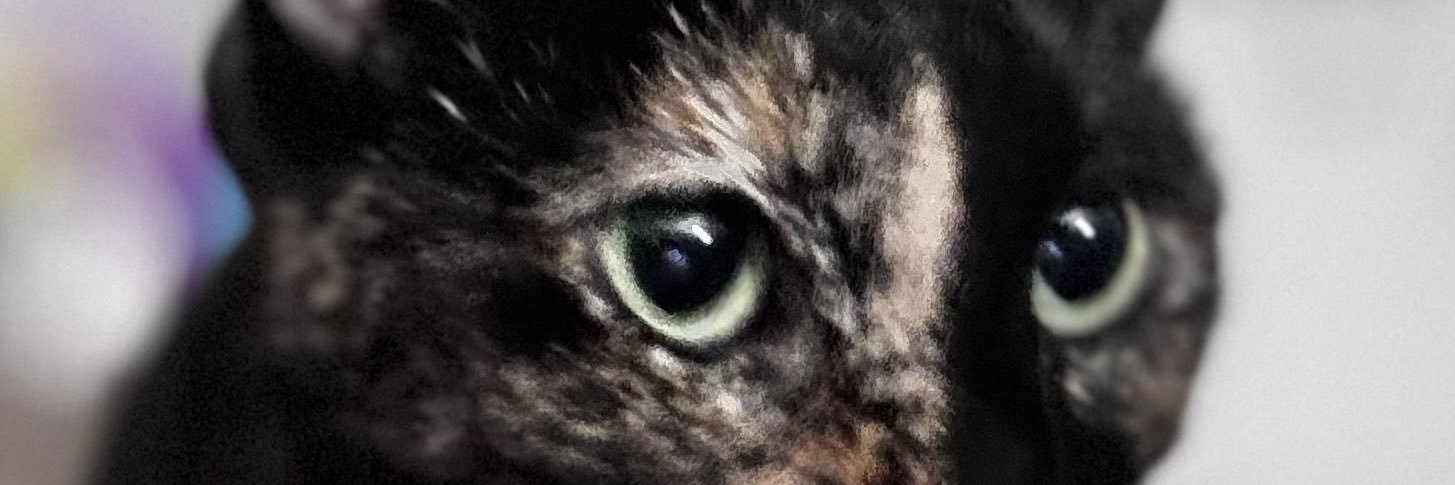 BreeBreeHeather's profile banner image