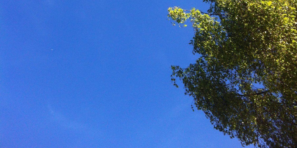 CarolineHalling's profile banner image