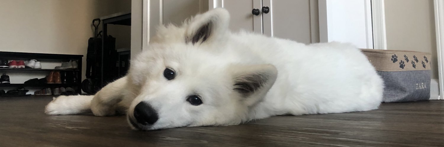 captmilkchoco's profile banner image