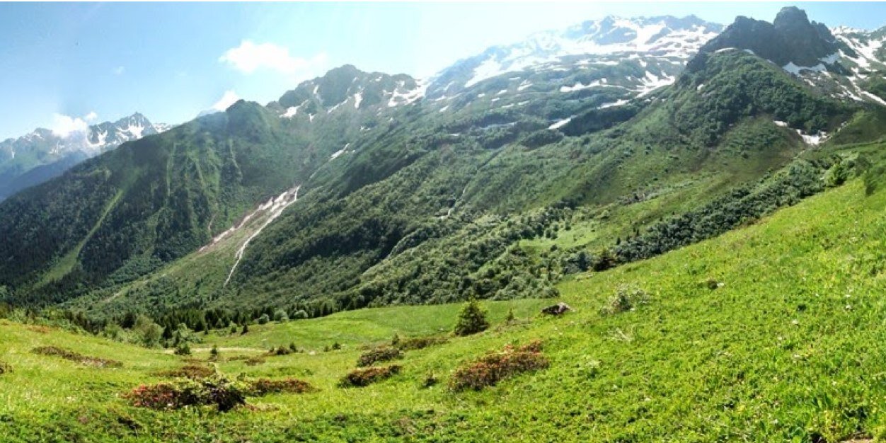 Éric Coissac banner