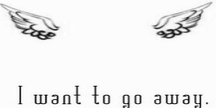 bayanbob's profile banner image