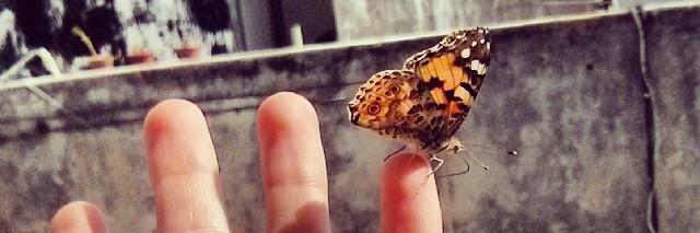 Kobe Ben Itamar banner