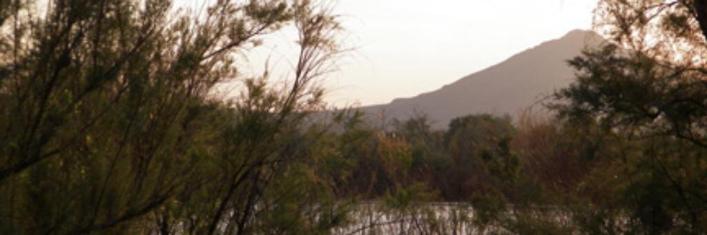 davidleesummers's profile banner image