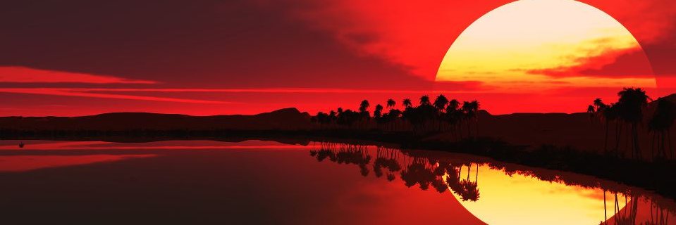 Tropicalwildex's profile banner image