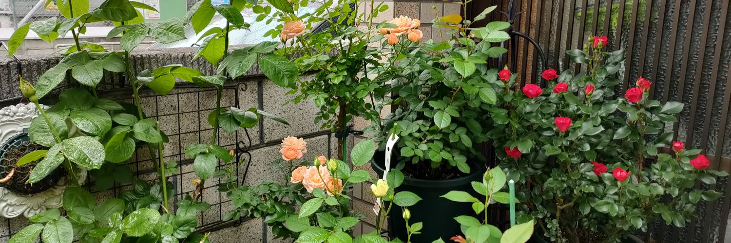 tama6027's profile banner image
