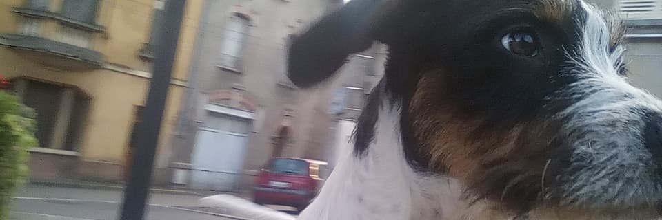 Hurivor's profile banner image