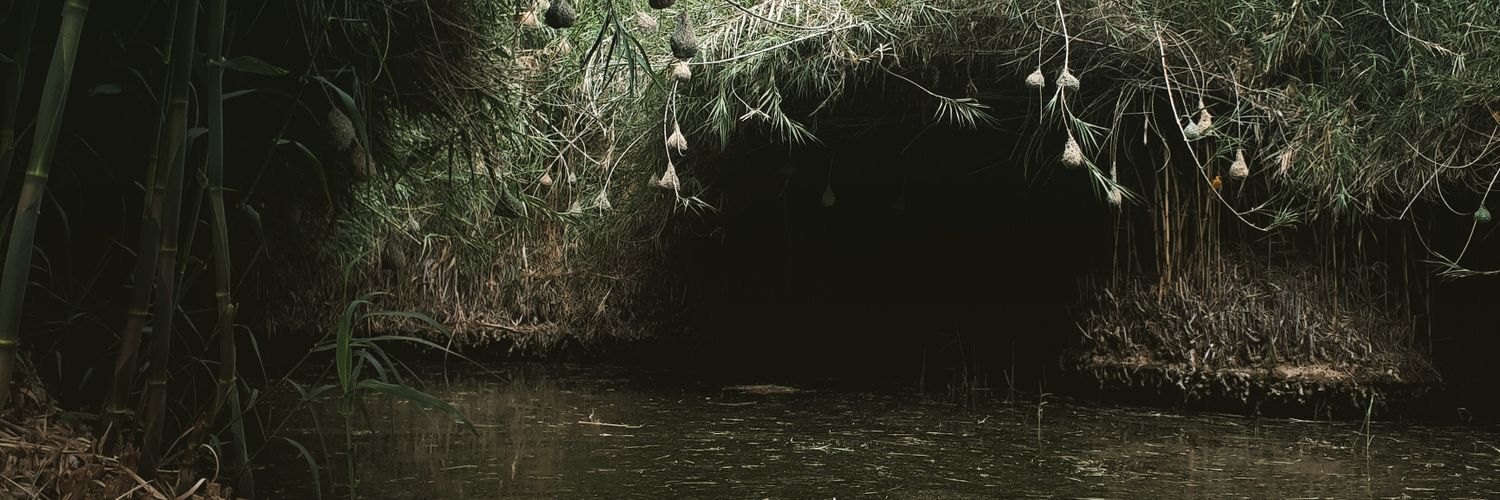 HKPanduleni's profile banner image