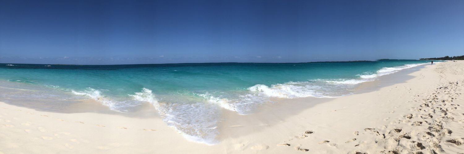 Ellen Bangert Ormsby banner