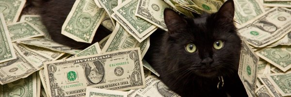 BennettTravers Profile Banner