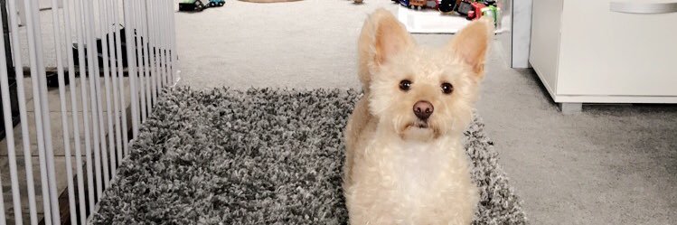 beccabailey_x's profile banner image