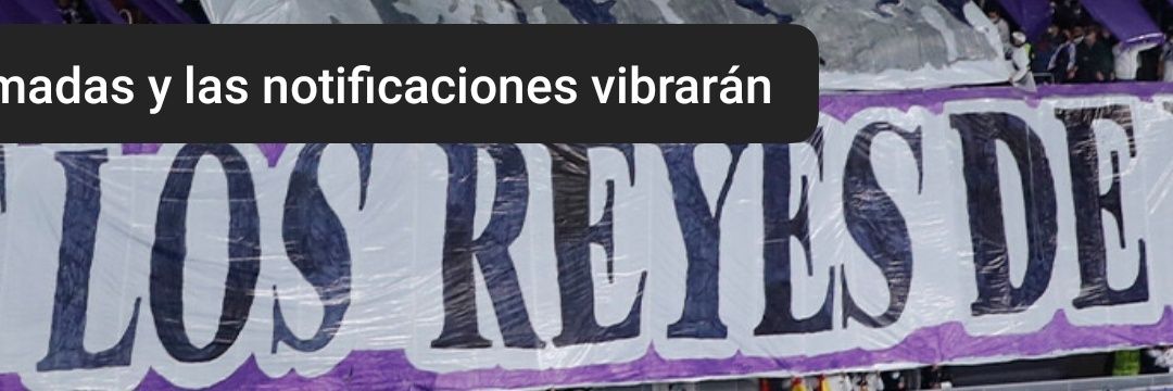 jestoga banner