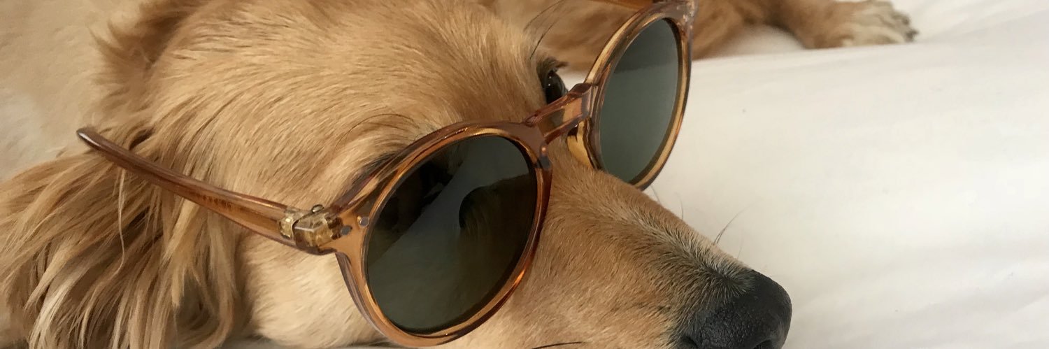 PineappleBarker's profile banner image