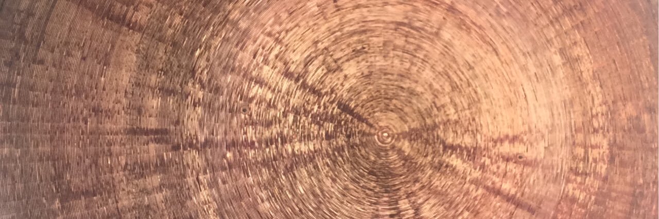 maria pau pigem banner