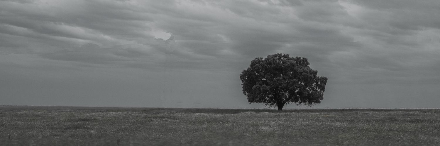 Anto_pemo's profile banner image